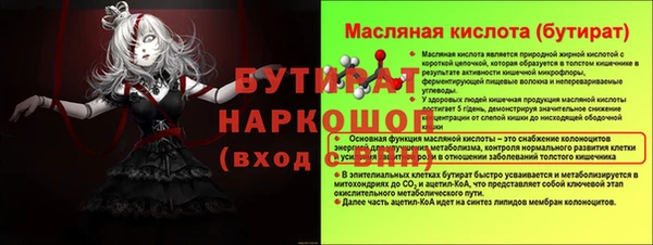 крисы Бородино