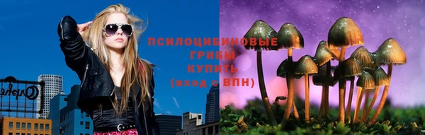 mdpv Богданович