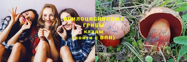 крисы Бородино