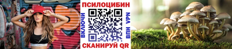 купить наркоту  Гулькевичи  Галлюциногенные грибы MAGIC MUSHROOMS 