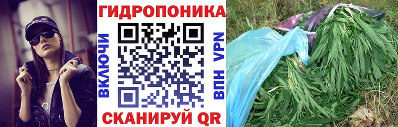 цены   Гулькевичи  Марихуана сатива 